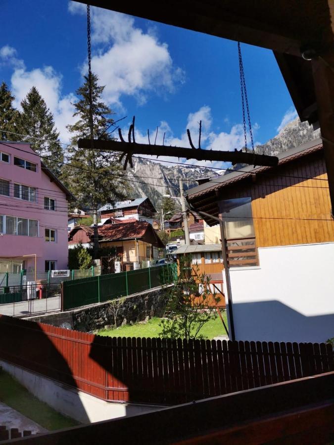 Casa Crisandri Busteni Hotel ภายนอก รูปภาพ